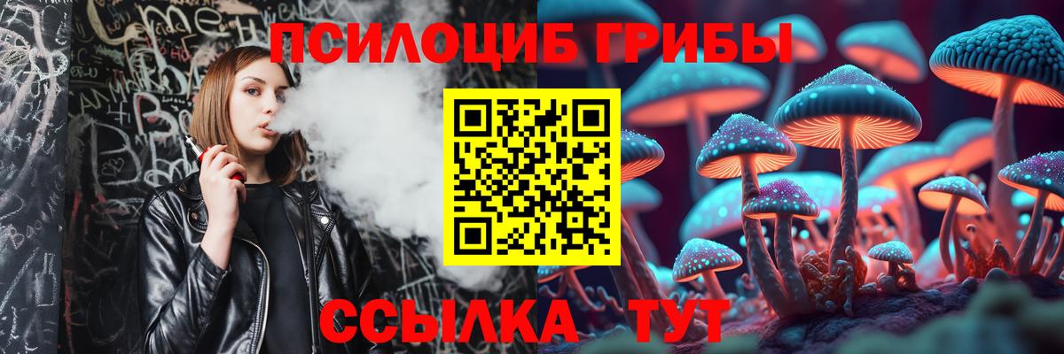 Псилоцибиновые грибы прущие грибы  Вход с VPN  Псилоцибиновые грибы Cubensis  Малоярославец 